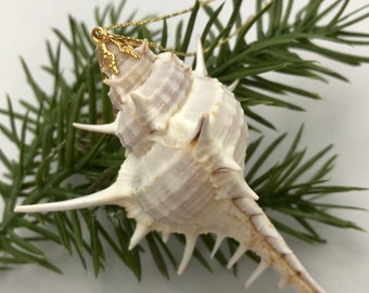 Murex Shell Christmas Tree Ornament