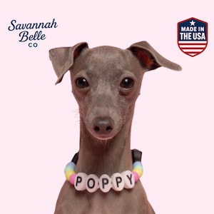 Personalized Beaded Dog Collar. Limited Edition RAINSHINE beads. Adjustable length *** FREE BFF Bracelet included.