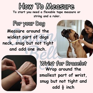 Personalized Dog Collar Beaded Boy Limited Edition SKY Blu. Adjustable length +++ FREE matching BFF bracelet afbeelding 11