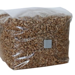 Grow like Magic - Mushroom Grain Spawn Grow Bag. Rye Berry