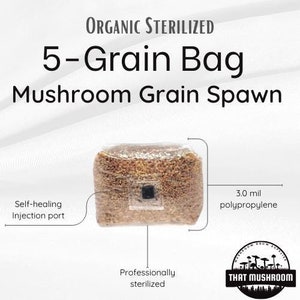 Grow like Magic - Mushroom Grain Spawn Bag - 3lb. 5-Grain WBS - Grow Mushrooms