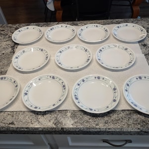 Puede incluir: Una colección de once platos de cerámica blanca con un borde floral azul. Los platos están dispuestos sobre una encimera, mostrando un diseño clásico y elegante adecuado para la vajilla y la cocina.