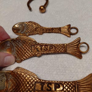 May include: A set of three bronze-colored fish-shaped measuring spoons with the text "TSP" and "1/2 TSP" on the handles. A matching bronze-colored hook is also present. The spoons have a textured scale design and a loop at the tail.