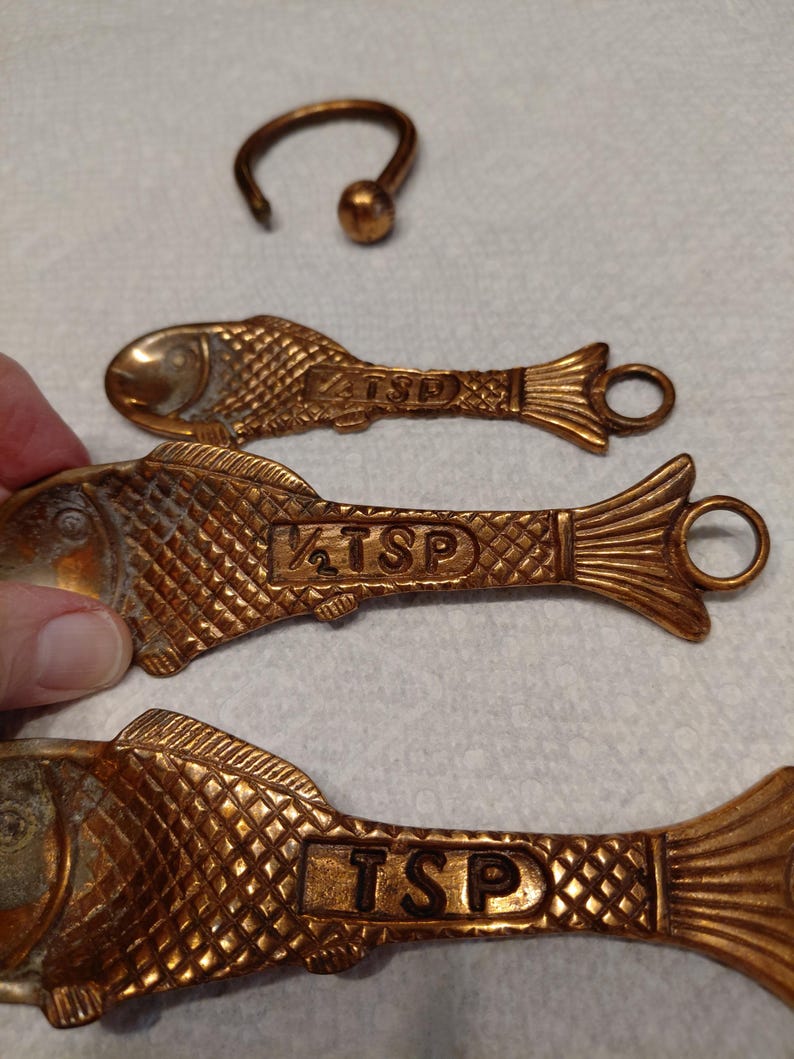 May include: A set of three bronze-colored fish-shaped measuring spoons with the text "TSP" and "1/2 TSP" on the handles. A matching bronze-colored hook is also present. The spoons have a textured scale design and a loop at the tail.