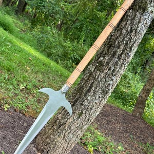 Pu&ograve; includere: Una lunga lancia in stile medievale, con un'asta di legno e una lama color argento. La lancia ha una punta e una guardia a forma di croce. L'asta &egrave; marrone chiaro con bande scure e dettagli argentati. La lancia &egrave; appoggiata a un albero.