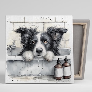 May include: A black and white border collie dog sits in a white bathtub with its paws resting on the edge. The dog is looking at the viewer with a curious expression. Two brown bottles of shampoo are on the edge of the tub.