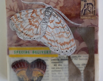 Night Moths Small Encaustic Mixed Media Painting