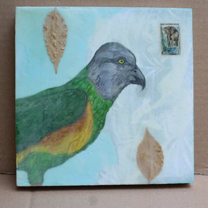 Parrot Profile- Original Mixed Media Encaustic Painting