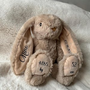 Personalized bunny plush toy