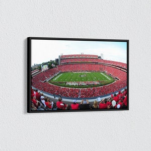 Lienzo del estadio de los Georgia Bulldogs, arte mural del estadio de Sanford, póster del estadio de fútbol americano, impresión deportiva americana, arte mural para sala de estar
