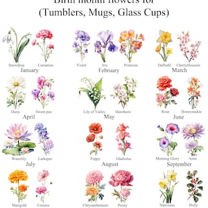 May include: A chart of birth month flowers, with a watercolour illustration of each flower. The chart is divided into 12 months, with the name of the flower and month listed below each illustration.