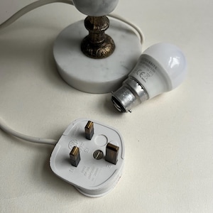 May include: A white electrical plug with three prongs, a white cord, and a light bulb with a silver base. A small lamp base with a marble top and ornate brass stem is also visible.