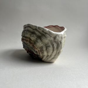 May include: A white ceramic planter shaped like a seashell with a textured surface and pink and brown accents.