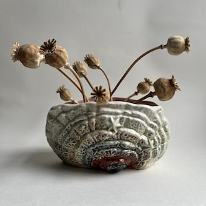 May include: A ceramic planter shaped like a mushroom with a white glaze and brown and grey accents. The planter is filled with dried poppy seed pods.