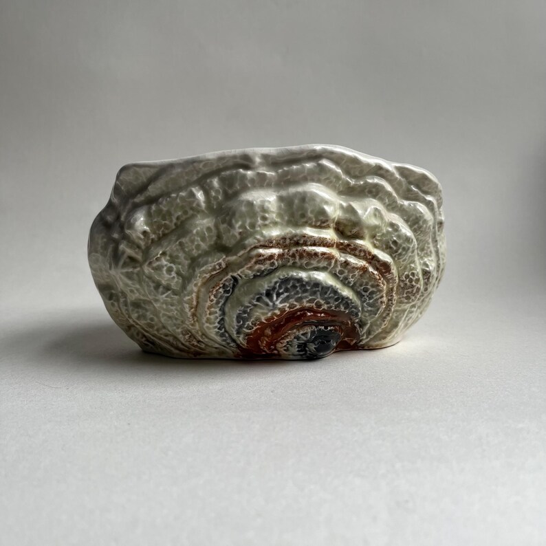 May include: A white ceramic planter with a textured, shell-like design. The planter has a brown, red, and gray swirl pattern in the center.