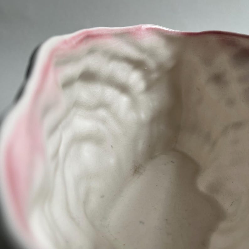 May include: Close-up of the inside of a white ceramic planter with a pink rim. The planter has a textured surface.
