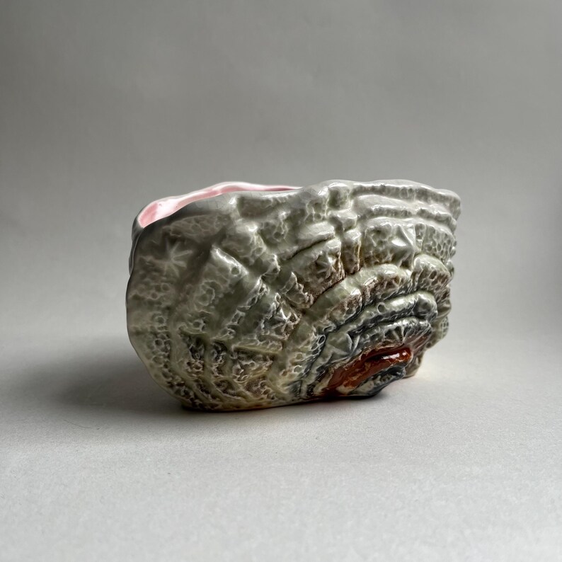 May include: A ceramic planter shaped like a seashell with a pink interior and a textured exterior in shades of brown, gray, and white.