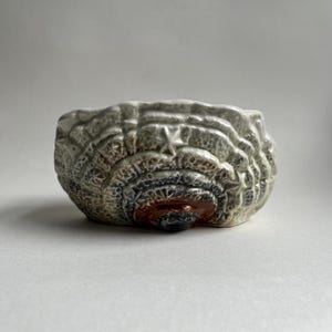 May include: A white ceramic bowl with a textured, multi-colored design. The bowl has a rounded shape and a raised, textured rim.