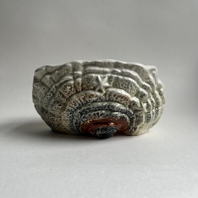 May include: A white ceramic bowl with a textured, multi-colored design. The bowl has a rounded shape and a raised, textured rim.