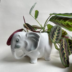 May include: A white ceramic elephant planter with grey detailing, containing a green and red plant. The elephant features a detailed trunk, ears, and eyes. The plant's leaves display a distinctive pattern. A decorative and functional item for home decor.