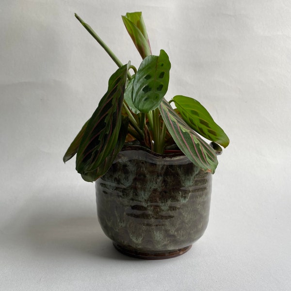 Vintage Ruffle Edge Plant Pot ~ Whatstandwell Studio Pottery ~ Handmade Small Green Honeycomb Glaze Frill Planter ~