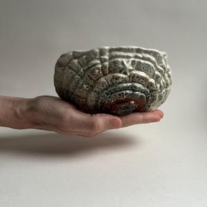 May include: A ceramic bowl with a unique, layered design. The bowl is glazed in shades of green, brown, and white, creating a natural, organic look.