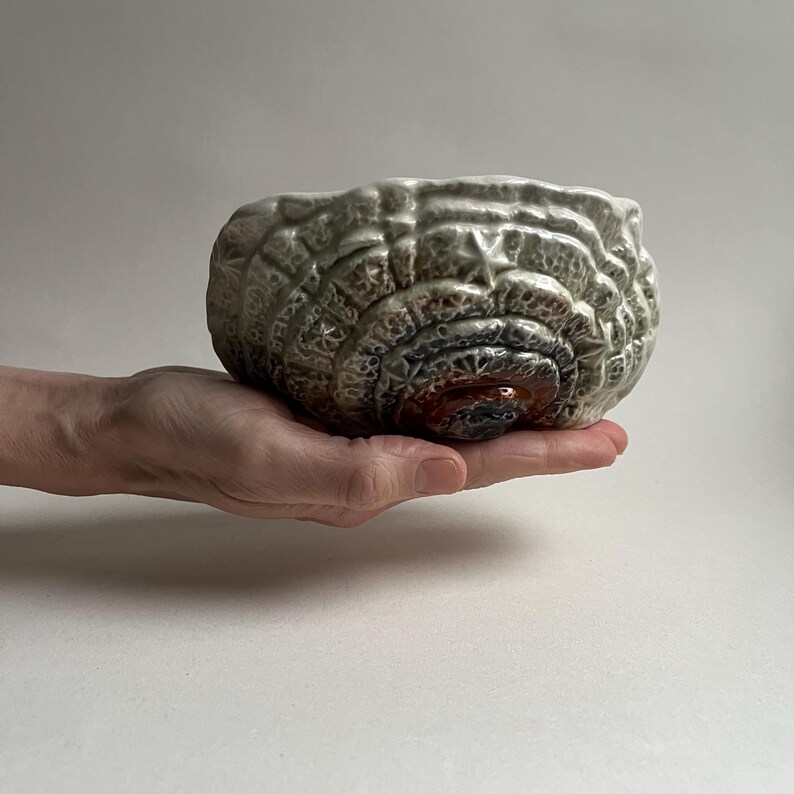 May include: A ceramic bowl with a unique, layered design. The bowl is glazed in shades of green, brown, and white, creating a natural, organic look.