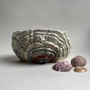May include: A ceramic bowl with a textured, shell-like design in shades of brown, gray, and white. The bowl is sitting on a white surface with several seashells.