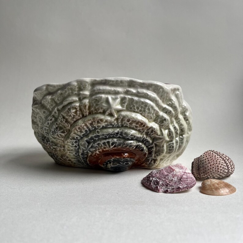 May include: A ceramic bowl with a textured, shell-like design in shades of brown, gray, and white. The bowl is sitting on a white surface with several seashells.