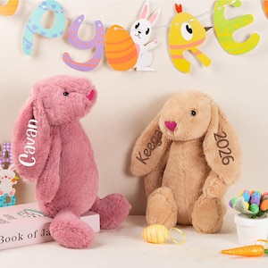 Peut inclure: Deux lapins de Pâques en peluche, un rose et un beige, avec des noms personnalisés sur les oreilles. Une bannière décorative de Pâques est suspendue au-dessus. Décorations de Pâques supplémentaires : une carotte, un petit pot d'œufs colorés et un livre.