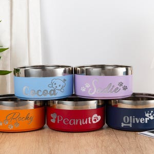 Pet Bowl with Name, Personalized Stainless Steel, Custom Dog Cat Bowls for Food & Water, Insulated Gift for Pets, Ideal for Small Dogs