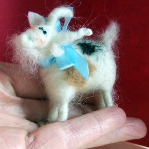 Miniature Goat image 1