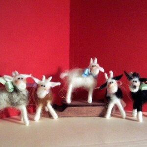 Miniature Goat image 2