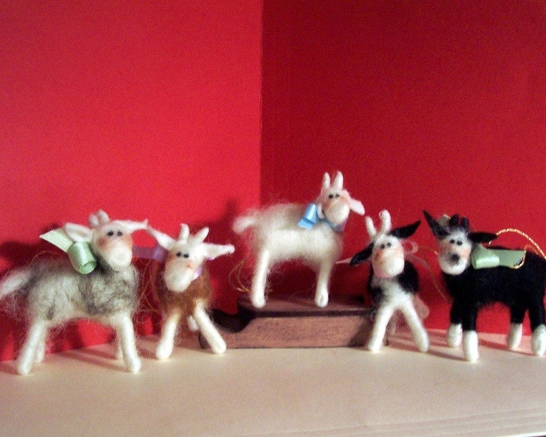 Miniature Goat image 2