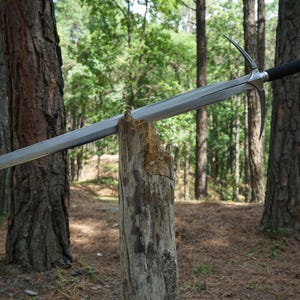 Può includere: Una lunga spada d'argento con un'impugnatura nera e un pomo decorativo poggia su un palo di legno stagionato. La spada ha una lama a doppio taglio e una guardia con riccioli curvi. Lo sfondo presenta una foresta con alberi alti.