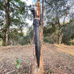 Puede incluir: Una espada negra con empu&ntilde;adura plateada y mango marr&oacute;n est&aacute; enfundada en una vaina negra. La espada est&aacute; montada en un tronco de &aacute;rbol en un entorno forestal, con follaje verde al fondo.