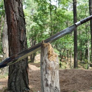 May include: A long, silver-colored sword with a wooden handle is stuck in a tree stump. The sword is in a forest setting.