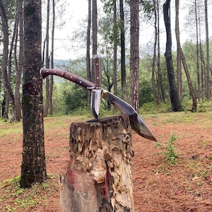 May include: Two knives, one with a wooden handle and a curved blade, and the other with a straight blade, are placed on a tree stump in a forest setting.