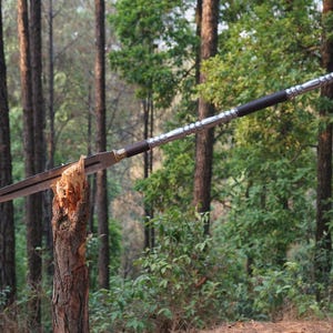 May include: A silver and black spear with a wooden handle is propped against a tree trunk in a forest setting.