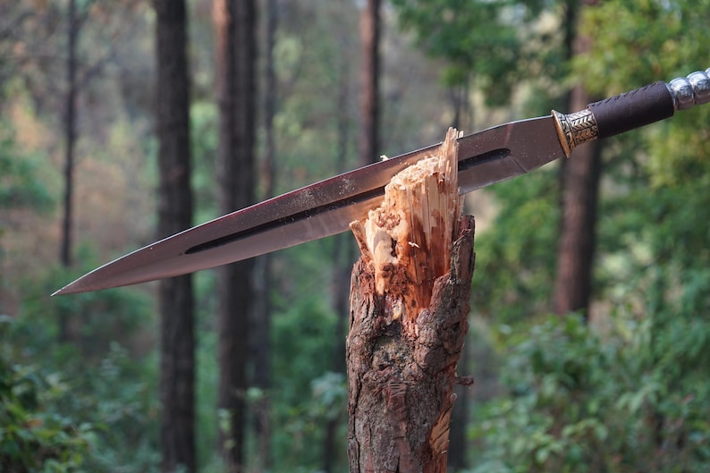 May include: A silver knife with a brown leather handle is stuck into a broken tree branch in a forest setting.