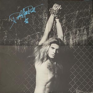 Autografo di David Lee Roth Van Halen su grande poster promozionale con certificato di autenticità