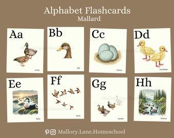 Tarjeta didáctica del alfabeto: A-B-C / Agricultura