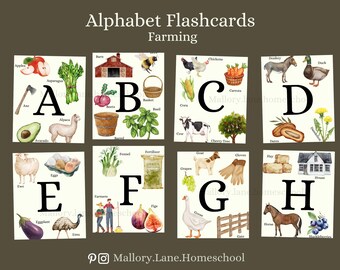 Tarjetas didácticas del alfabeto / Agricultura / Educación preescolar en el hogar