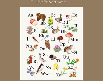 Cuadro del alfabeto / Bosque del noroeste del Pacífico / Educación en el hogar