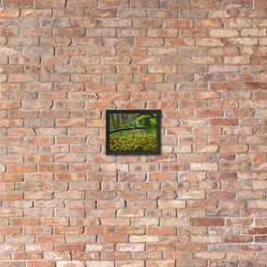 Macro Photography Nature -  Framed poster