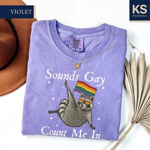 Funny LGBT Pride Racoon Comfort Colors Shirt, Sounds Gay Count Me In, Pride Month T-Shirt, LGBTQ+ Community Shirts, Gift for Friend