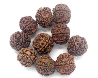 May include: A group of ten brown, round beads with intricate patterns. The beads are arranged in a circle on a white background.