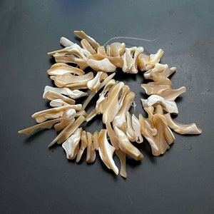 Natural Beige Untamed MOP Sea Ocean Shell Stick Branch Irregular Beads (50pcs)  (e8148)
