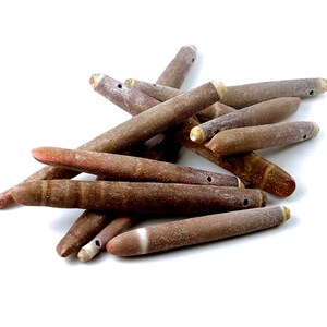 May include: A pile of brown and red sea shell beads with holes drilled through them. The beads are smooth and have a natural, organic texture.