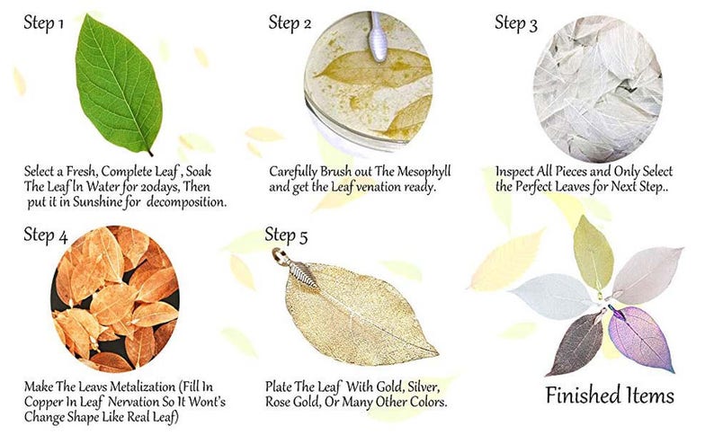 60-75mm Natural real Leaf Metalic Gold Plated Pendant e7117